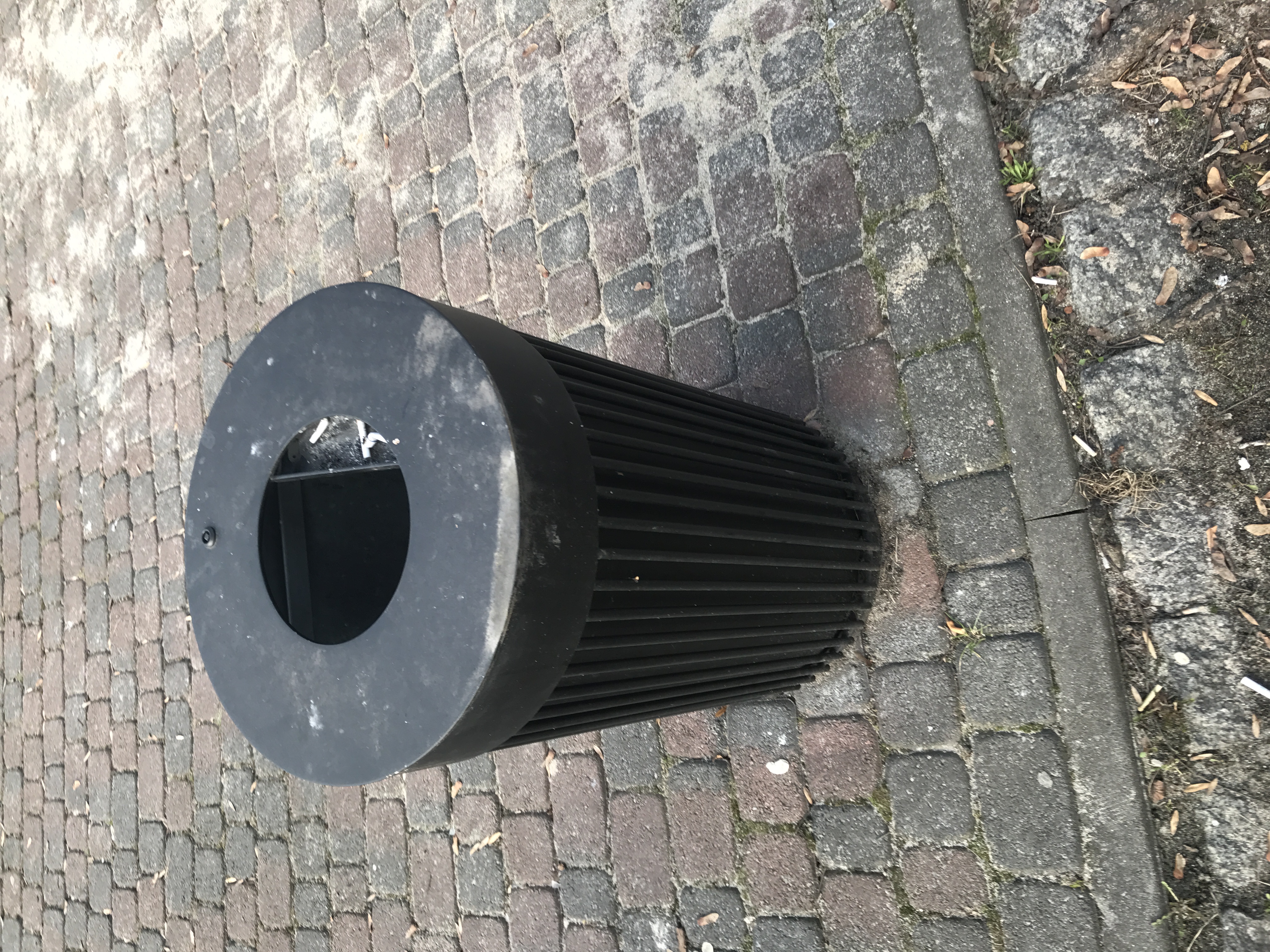 Thumbnail Image